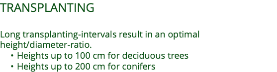 TRANSPLANTING  Long transplanting-intervals result in an optimal  height/diameter-ratio. Heights up to 100 cm for deciduous trees Heights up to 200 cm for conifers