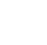 Systematic afforestation: high planting-efficiency   Efficient logistics:  carton or tray  Successful growing  also on difficult sites,  pot provides starting aid