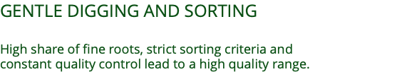 GENTLE DIGGING AND SORTING  High share of fine roots, strict sorting criteria and  constant quality control lead to a high quality range.