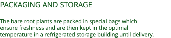 PACKAGING AND STORAGE  The bare root plants are packed in special bags which  ensure freshness and are then kept in the optimal  temperature in a refrigerated storage building until delivery.