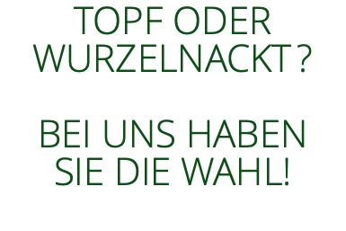 TOPF ODER WURZELNACKT? BEI UNS HABEN  SIE DIE WAHL!