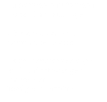 Aufforsten mit System Hohe Pflanzleistungen  Effiziente Logistik Karton oder Platte  Hohe Anwuchserfolge auch auf schwierigen Standorten Topf gibt Starthilfe