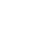 Produktion unter kontrollierten Bedingungen Kurze Produktionszyklen Gleichförmige Qualität  Umfangreiches Sortiment - Alle wesentlichen Baumarten - Diverse Raritäten - Jungpflanzen für  - Christbaumkultur